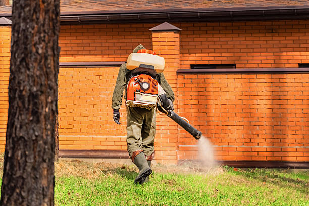 Trusted Termite Control service in White Oak, PA - Nex Pest Control